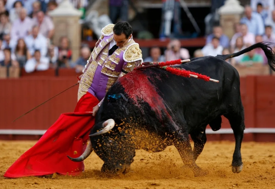 Foto 2 - Ampliaci&oacute;n: Toros de Victorino para El Cid, Rom&aacute;n y Rub&eacute;n Pinar en la feria de San Juan