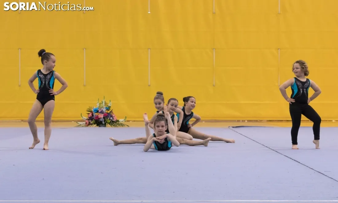 Torneo Escolar de Gimnasia. /Jasmín Malvesado