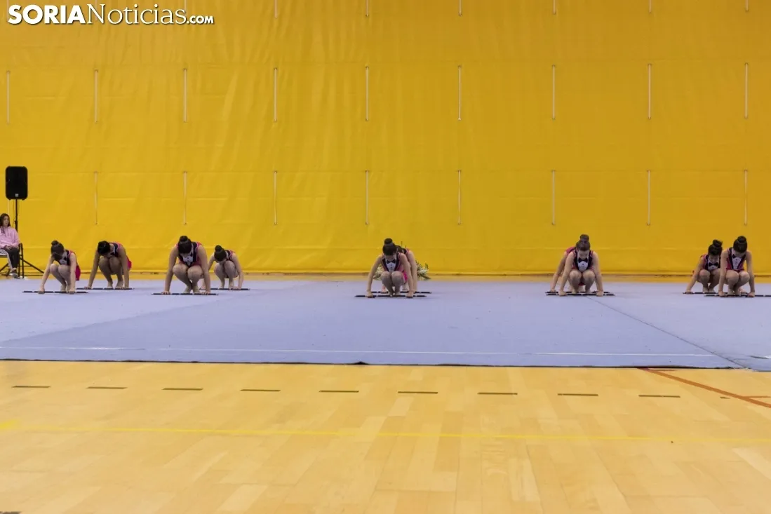 Provincial de Gimnasia en Soria. /Jasmín Malvesado