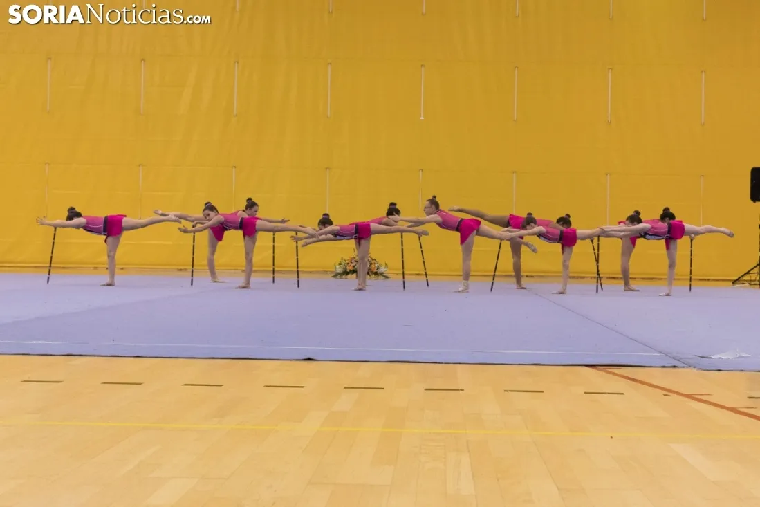 Provincial de Gimnasia en Soria. /Jasmín Malvesado
