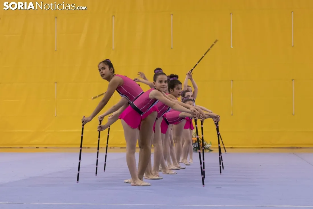 Provincial de Gimnasia en Soria. /Jasmín Malvesado
