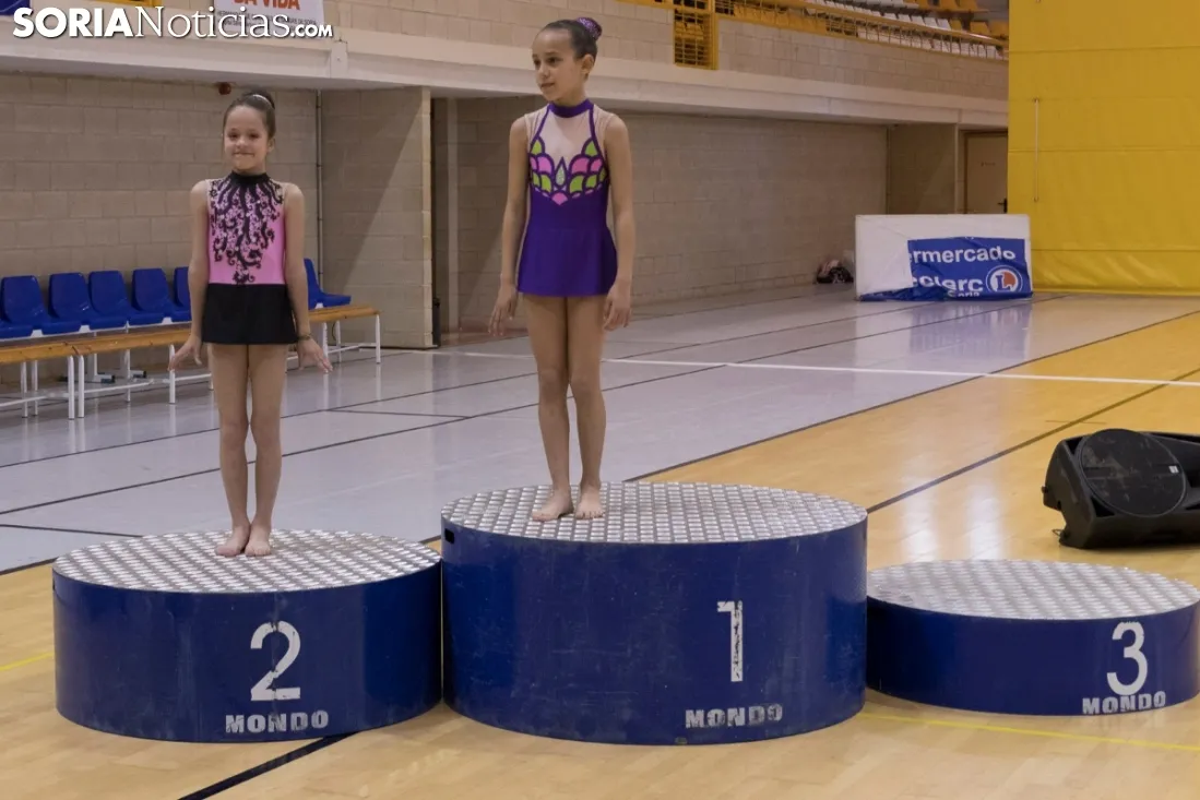 Provincial de Gimnasia en Soria. /Jasmín Malvesado