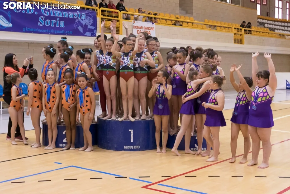 Provincial de Gimnasia en Soria. /Jasmín Malvesado