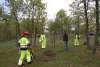 Foto 1 - 500.000 euros para brigadas forestales en la provincia