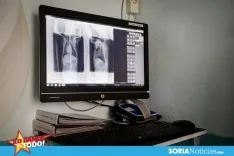 Foto 5 - LDT: Mi Mascota: Confianza y seguridad para los familiares peludos