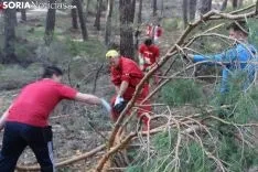 Traída del Pino Mayo en Navaleno.