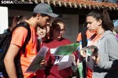 Orienta UVa / María Ferrer