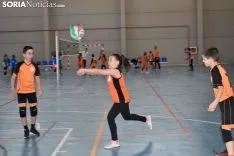 12 horas de mini-voleibol, Memorial José Luis Blasco. 