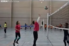 12 horas de mini-voleibol, Memorial José Luis Blasco. 