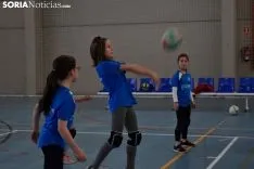12 horas de mini-voleibol, Memorial José Luis Blasco. 