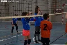 12 horas de mini-voleibol, Memorial José Luis Blasco. 