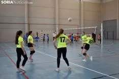 12 horas de mini-voleibol, Memorial José Luis Blasco. 