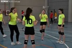 12 horas de mini-voleibol, Memorial José Luis Blasco. 