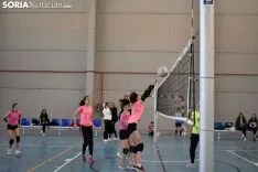 12 horas de mini-voleibol, Memorial José Luis Blasco. 