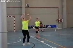 12 horas de mini-voleibol, Memorial José Luis Blasco. 