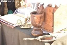Oria Dauria celebra el Día de Castilla y León en Soria.