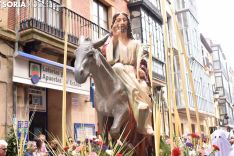 Domingo de Ramos 2019 en Soria. /EM
