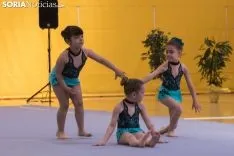 Provincial de Gimnasia en Soria. /Jasmín Malvesado