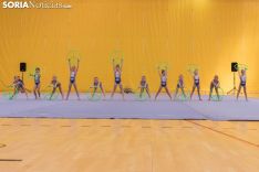 Provincial de Gimnasia en Soria. /Jasmín Malvesado
