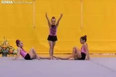 Provincial de Gimnasia en Soria. /Jasmín Malvesado