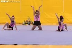 Provincial de Gimnasia en Soria. /Jasmín Malvesado