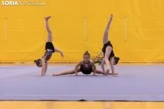 Provincial de Gimnasia en Soria. /Jasmín Malvesado