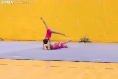 Provincial de Gimnasia en Soria. /Jasmín Malvesado