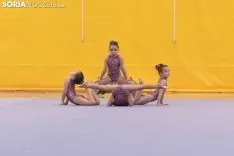 Provincial de Gimnasia en Soria. /Jasmín Malvesado