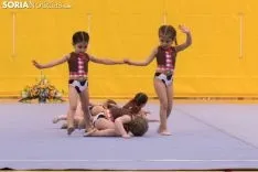 Provincial de Gimnasia en Soria. /Jasmín Malvesado
