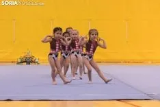 Provincial de Gimnasia en Soria. /Jasmín Malvesado