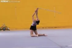 Provincial de Gimnasia en Soria. /Jasmín Malvesado