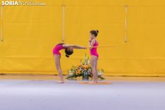 Provincial de Gimnasia en Soria. /Jasmín Malvesado