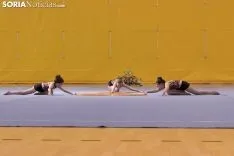 Provincial de Gimnasia en Soria. /Jasmín Malvesado