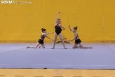 Provincial de Gimnasia en Soria. /Jasmín Malvesado