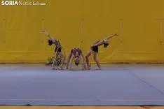 Provincial de Gimnasia en Soria. /Jasmín Malvesado