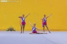 Provincial de Gimnasia en Soria. /Jasmín Malvesado