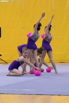 Provincial de Gimnasia en Soria. /Jasmín Malvesado