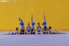 Provincial de Gimnasia en Soria. /Jasmín Malvesado
