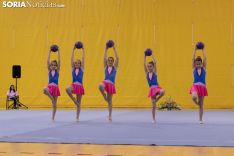Provincial de Gimnasia en Soria. /Jasmín Malvesado