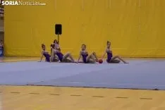 Provincial de Gimnasia en Soria. /Jasmín Malvesado