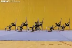 Provincial de Gimnasia en Soria. /Jasmín Malvesado