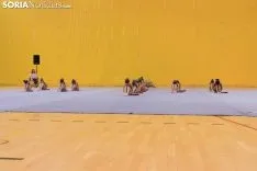 Provincial de Gimnasia en Soria. /Jasmín Malvesado