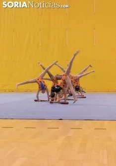 Provincial de Gimnasia en Soria. /Jasmín Malvesado