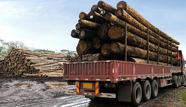 Los ingresos por aprovechamientos y concesiones en los Montes de Utilidad Pública sorianos superaron los 10,3 M€ en 2018