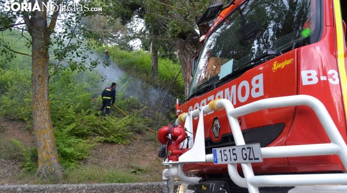 Un conato de incendio en las laderas del Castillo, en la capital, en junio pasado. /SN