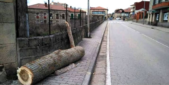 Imagen de la travesía este miércoles. 