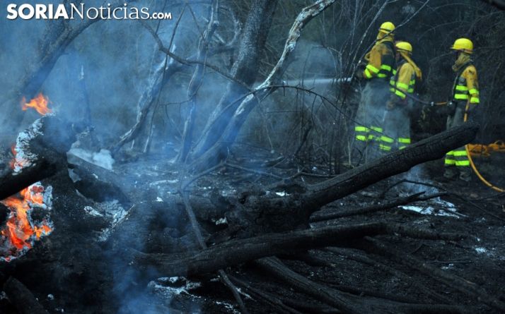 UGT denuncia que la Junta lleva un mínimo de 100.000 &euro; no gastados en prevención de incendios 