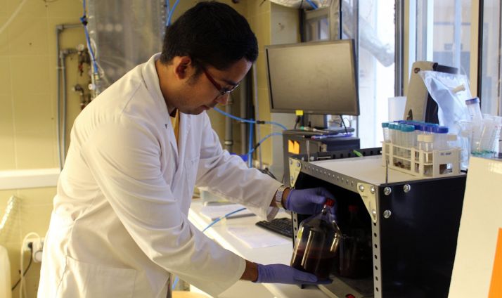 Un investigador del ISP con bacterias púrpuras. /UVa