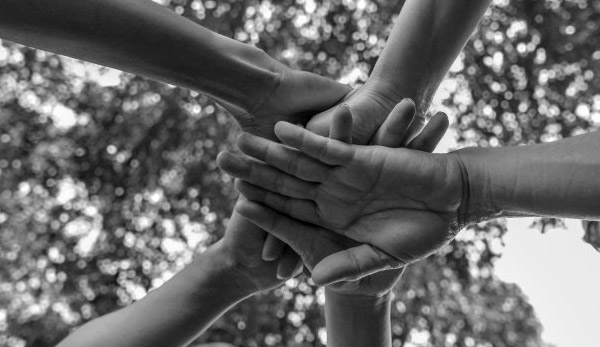 Luz verde a ayudas para la contratación de agentes de igualdad en capital y provincia