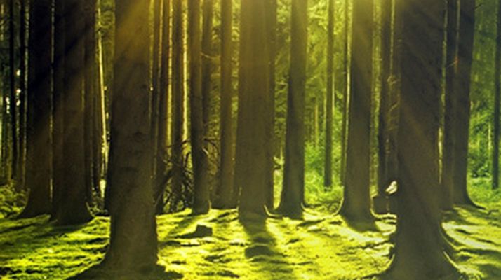 Los geógrafos alegan la modificación del Decreto de urbanismo de CyL